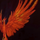 Flying Phoenix 
