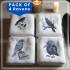 Pack of 4 Raven Embroidery Designs