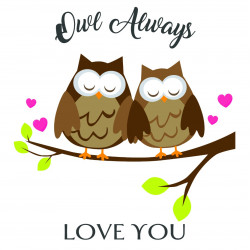 Owl Love Vector Only