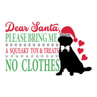 Dear Santa With Dog