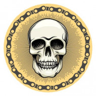 Skull Vector Only