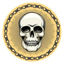 Skull Vector Only
