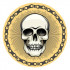 Skull Vector Only