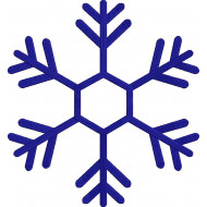 Snowflake