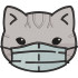 Gray Cat With Mask