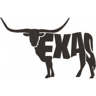Texas