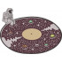 Astronaut Galaxy