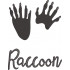Racoon Paw