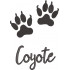 Coyote Paw