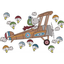 Flying Plane