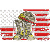 Veterans For USA