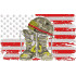 Veterans For USA