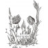 Flower Skull Art