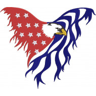 Patriotic Eagle