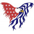 Patriotic Eagle