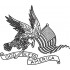 Bald Eagle With US Flag
