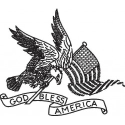 Bald Eagle With US Flag