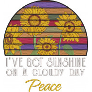 I Have Got Sunshine On a Cloudy Day