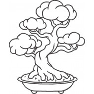 Bonsai Tree