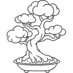 Bonsai Tree