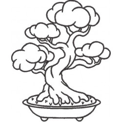 Bonsai Tree