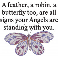 Angel Signs Quote