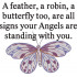 Angel Signs Quote