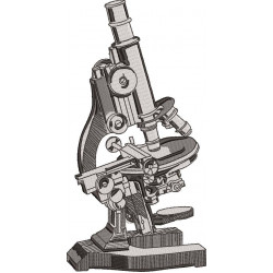 Microscope
