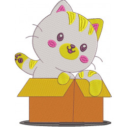 Cat In A Box