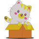 Cat In A Box