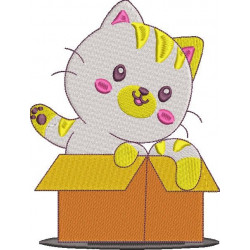 Cat In A Box