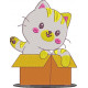 Cat In A Box