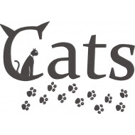 Cat & Paws