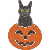 Black Cat In Jack O Lantern