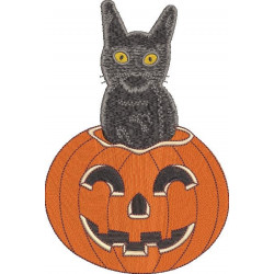 Black Cat In Jack O Lantern