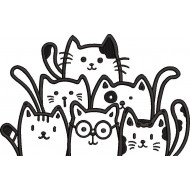 6 Cute Kittens