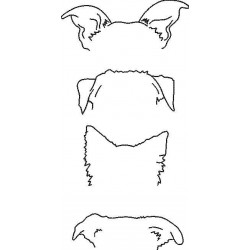Dog Ears Outline