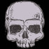 Skull Head
