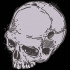 Skull For Halloween