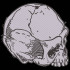 Cracked Skull