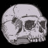 Scary Skull