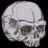 Creepy Skull
