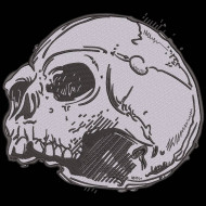 Halloween Skull