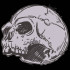 Halloween Skull
