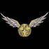 Wand Man Golden Snitch