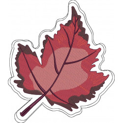 Maple Leaf