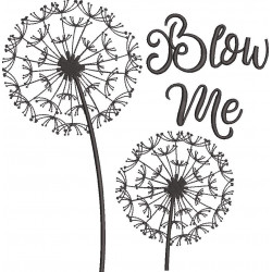 Blow Me