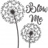 Blow Me