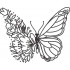 Floral Butterfly