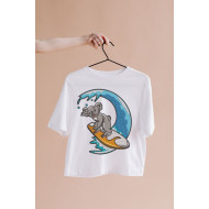 Surfing Koala